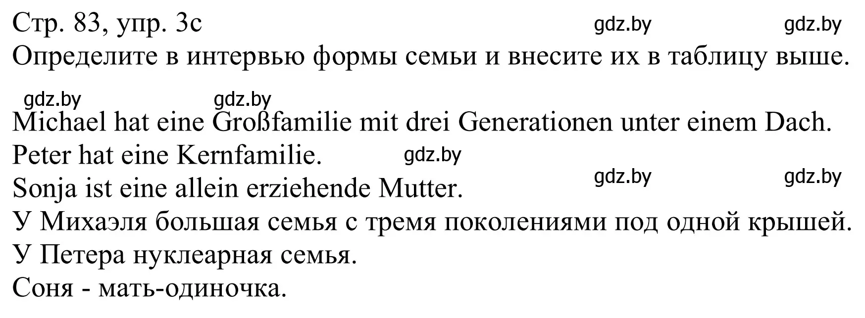 Решение номер 3c (страница 83) гдз по немецкому языку 11 класс Будько, Урбанович, учебник