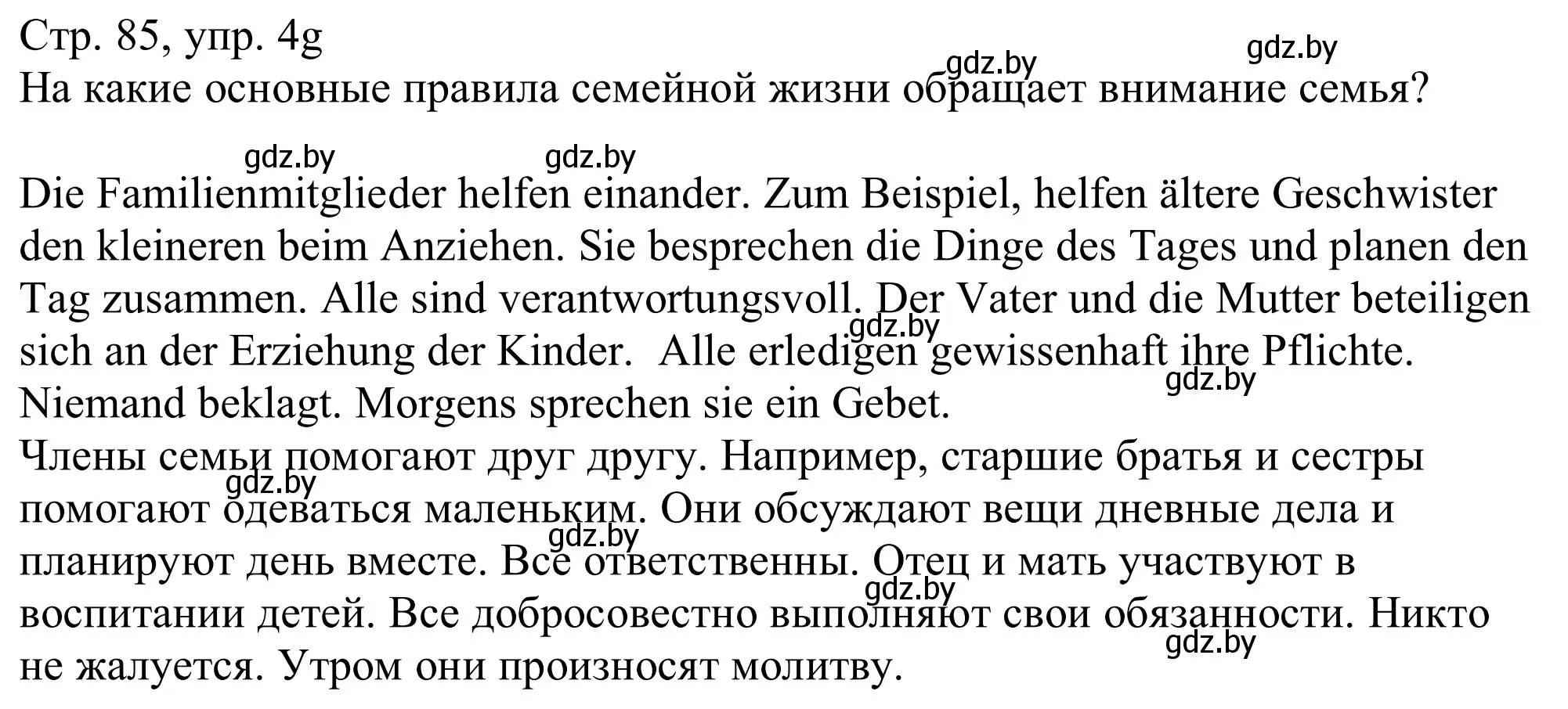 Решение номер 4g (страница 85) гдз по немецкому языку 11 класс Будько, Урбанович, учебник