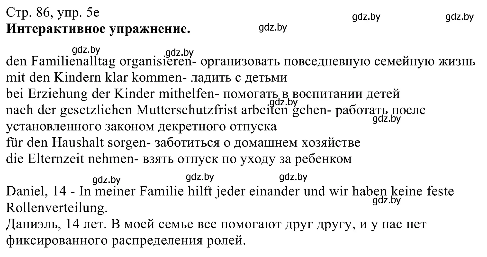 Решение номер 5e (страница 86) гдз по немецкому языку 11 класс Будько, Урбанович, учебник