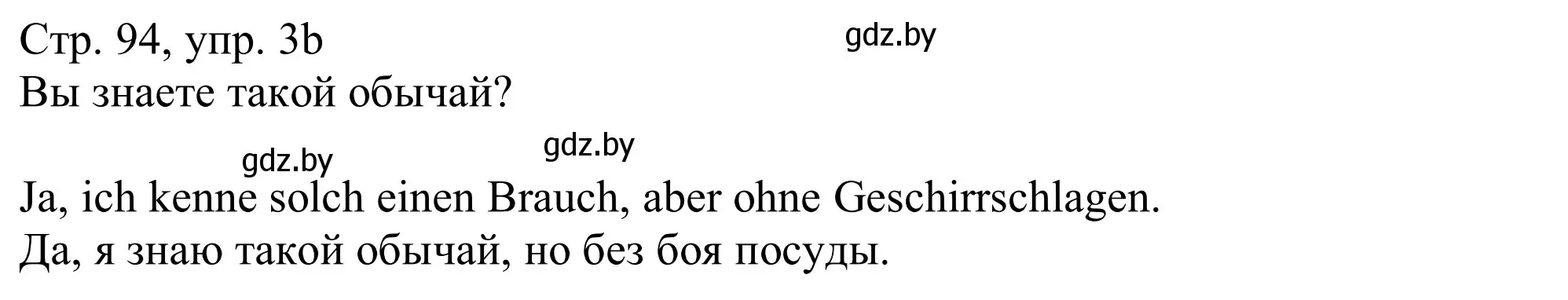 Решение номер 3b (страница 94) гдз по немецкому языку 11 класс Будько, Урбанович, учебник