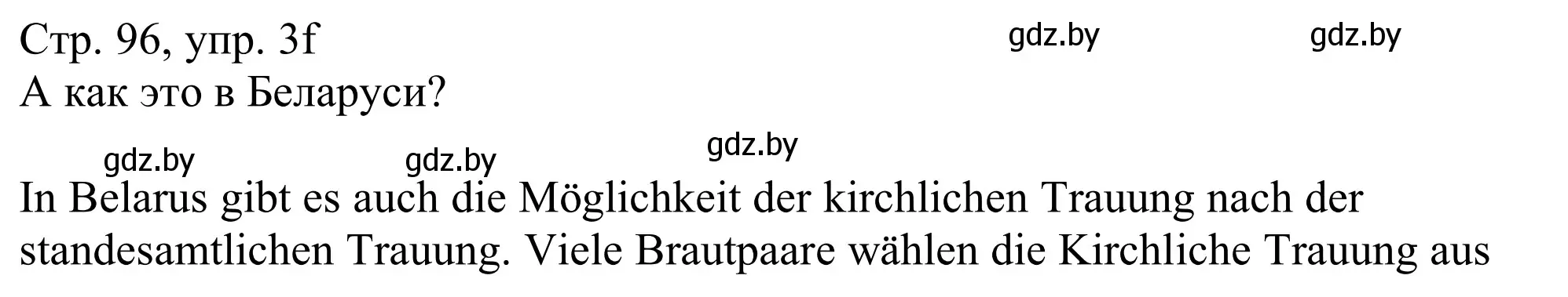 Решение номер 3f (страница 96) гдз по немецкому языку 11 класс Будько, Урбанович, учебник