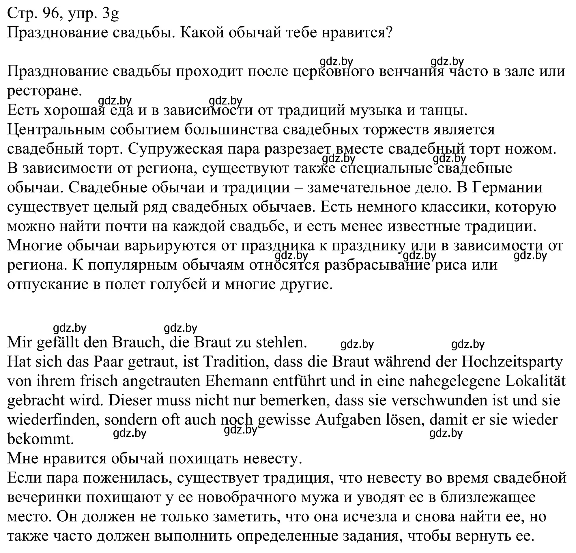 Решение номер 3g (страница 96) гдз по немецкому языку 11 класс Будько, Урбанович, учебник