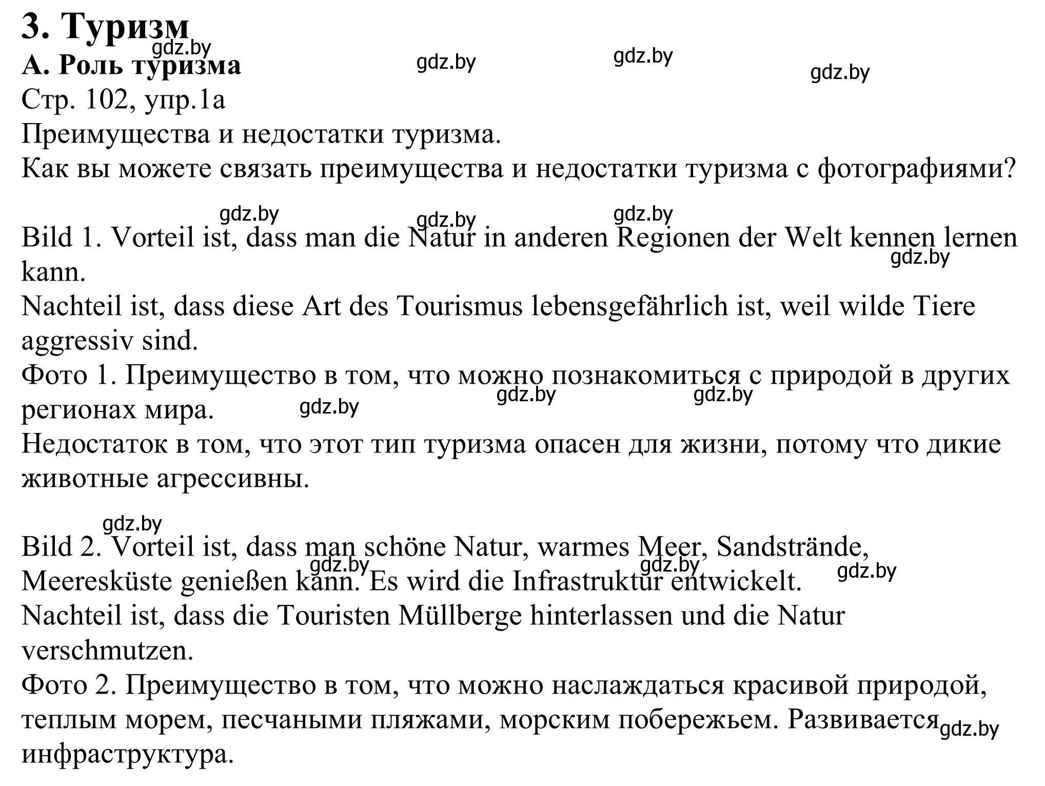 Решение номер 1a (страница 102) гдз по немецкому языку 11 класс Будько, Урбанович, учебник