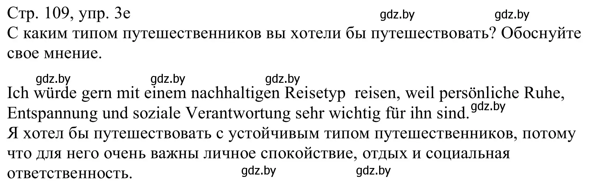 Решение номер 3e (страница 109) гдз по немецкому языку 11 класс Будько, Урбанович, учебник