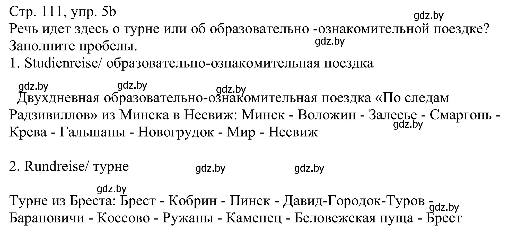 Решение номер 5b (страница 111) гдз по немецкому языку 11 класс Будько, Урбанович, учебник