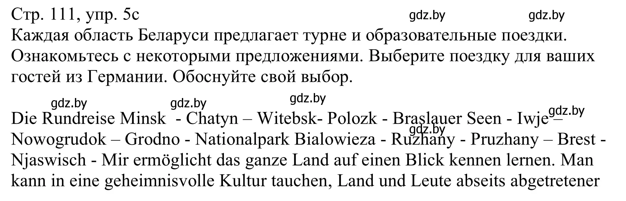 Решение номер 5c (страница 111) гдз по немецкому языку 11 класс Будько, Урбанович, учебник