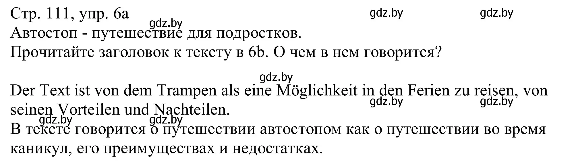 Решение номер 6a (страница 111) гдз по немецкому языку 11 класс Будько, Урбанович, учебник