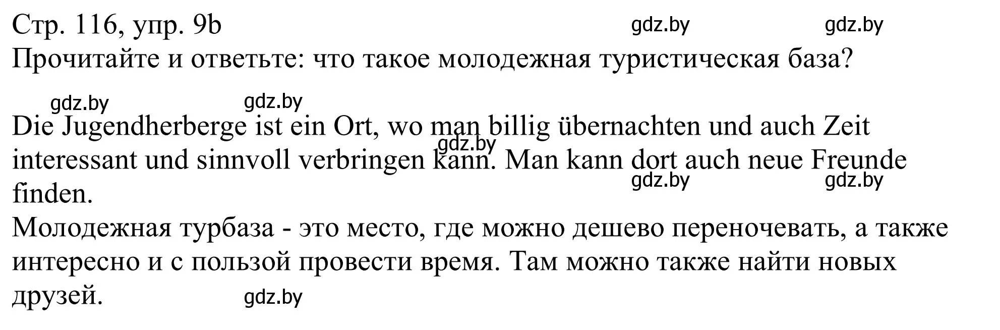 Решение номер 9b (страница 116) гдз по немецкому языку 11 класс Будько, Урбанович, учебник