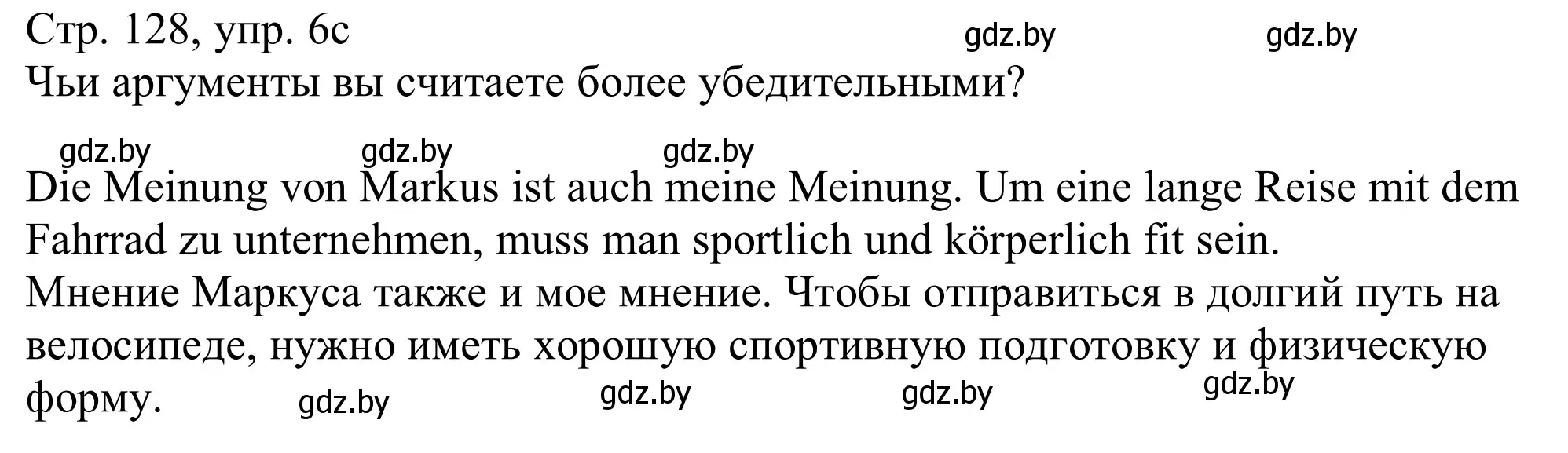 Решение номер 6c (страница 128) гдз по немецкому языку 11 класс Будько, Урбанович, учебник