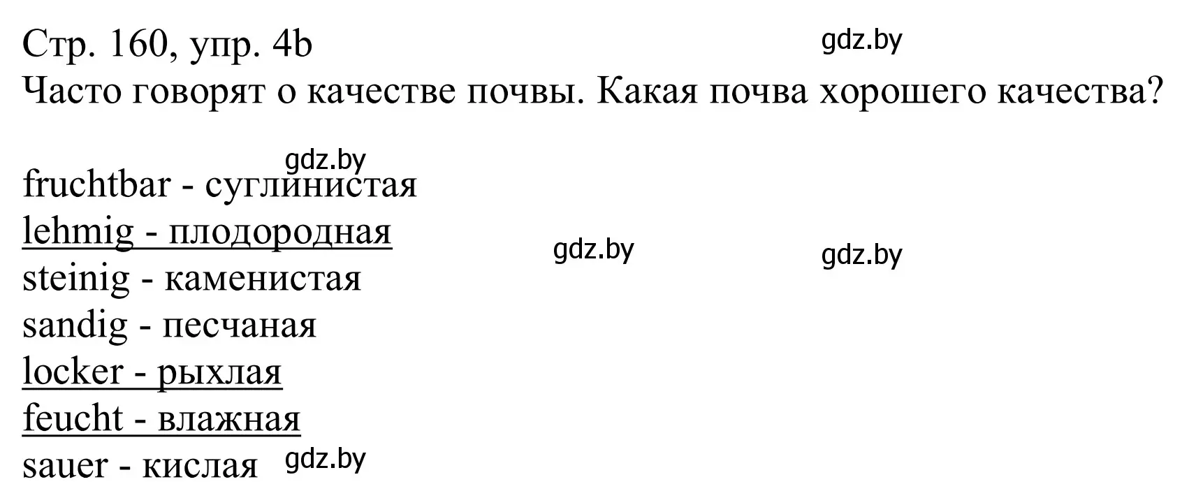 Решение номер 4b (страница 160) гдз по немецкому языку 11 класс Будько, Урбанович, учебник