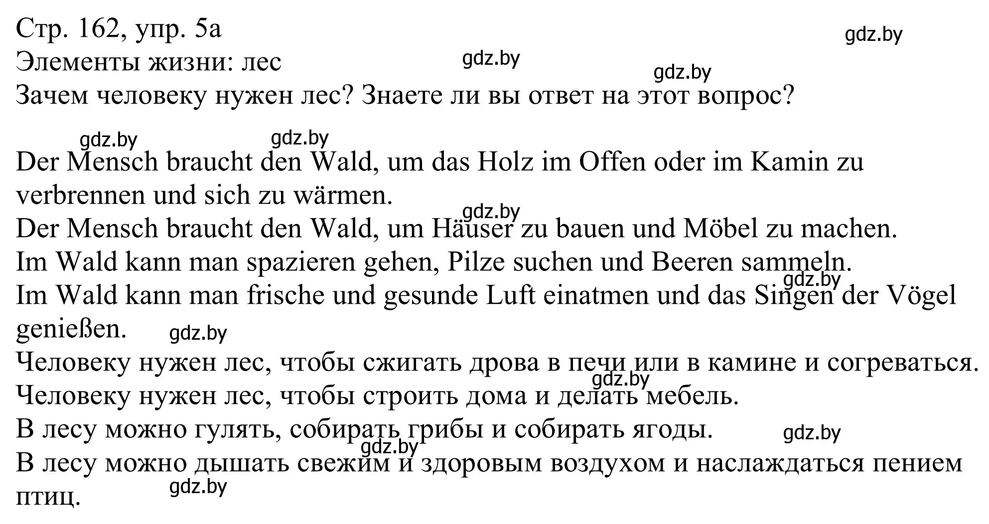 Решение номер 5a (страница 162) гдз по немецкому языку 11 класс Будько, Урбанович, учебник