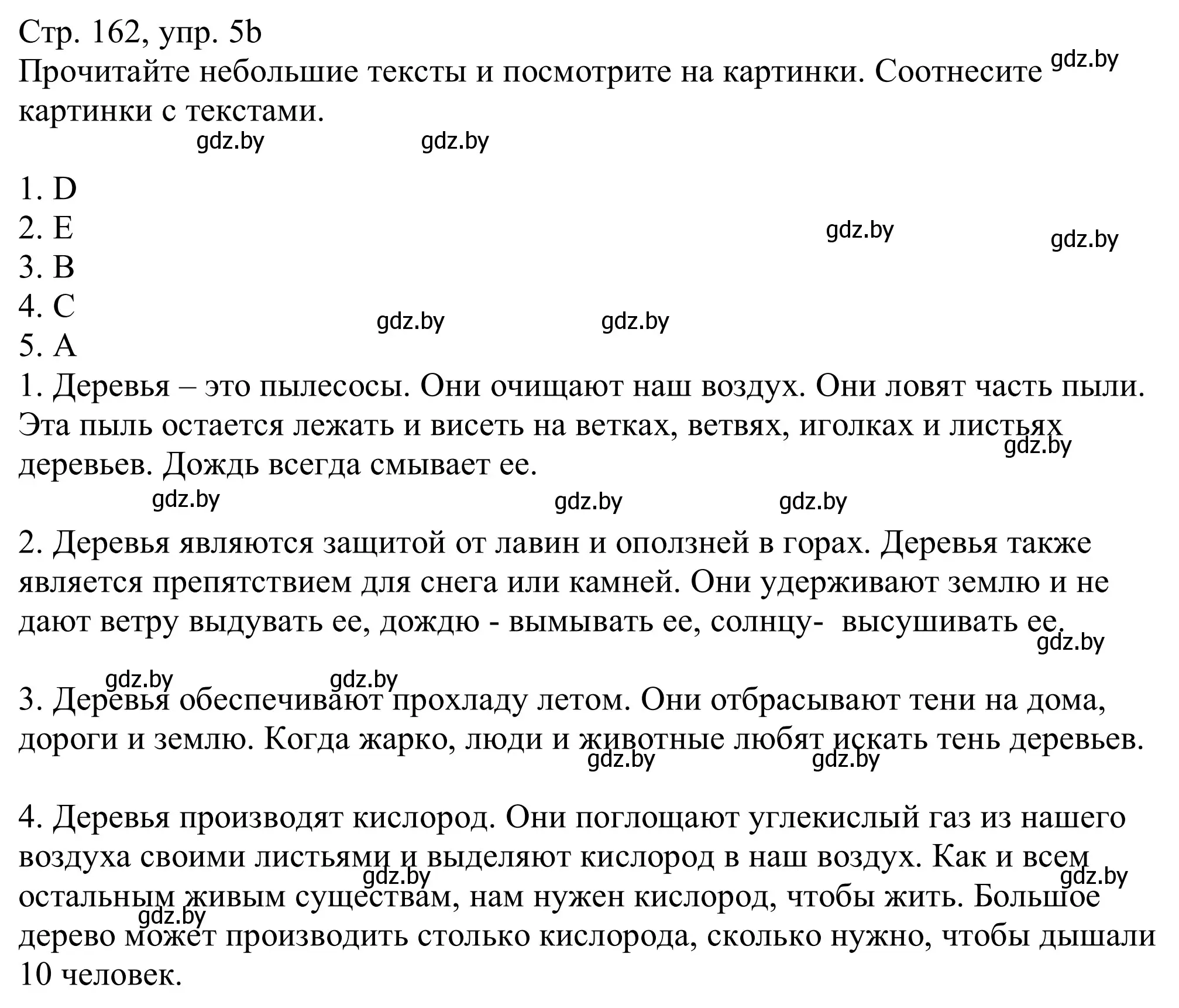 Решение номер 5b (страница 162) гдз по немецкому языку 11 класс Будько, Урбанович, учебник