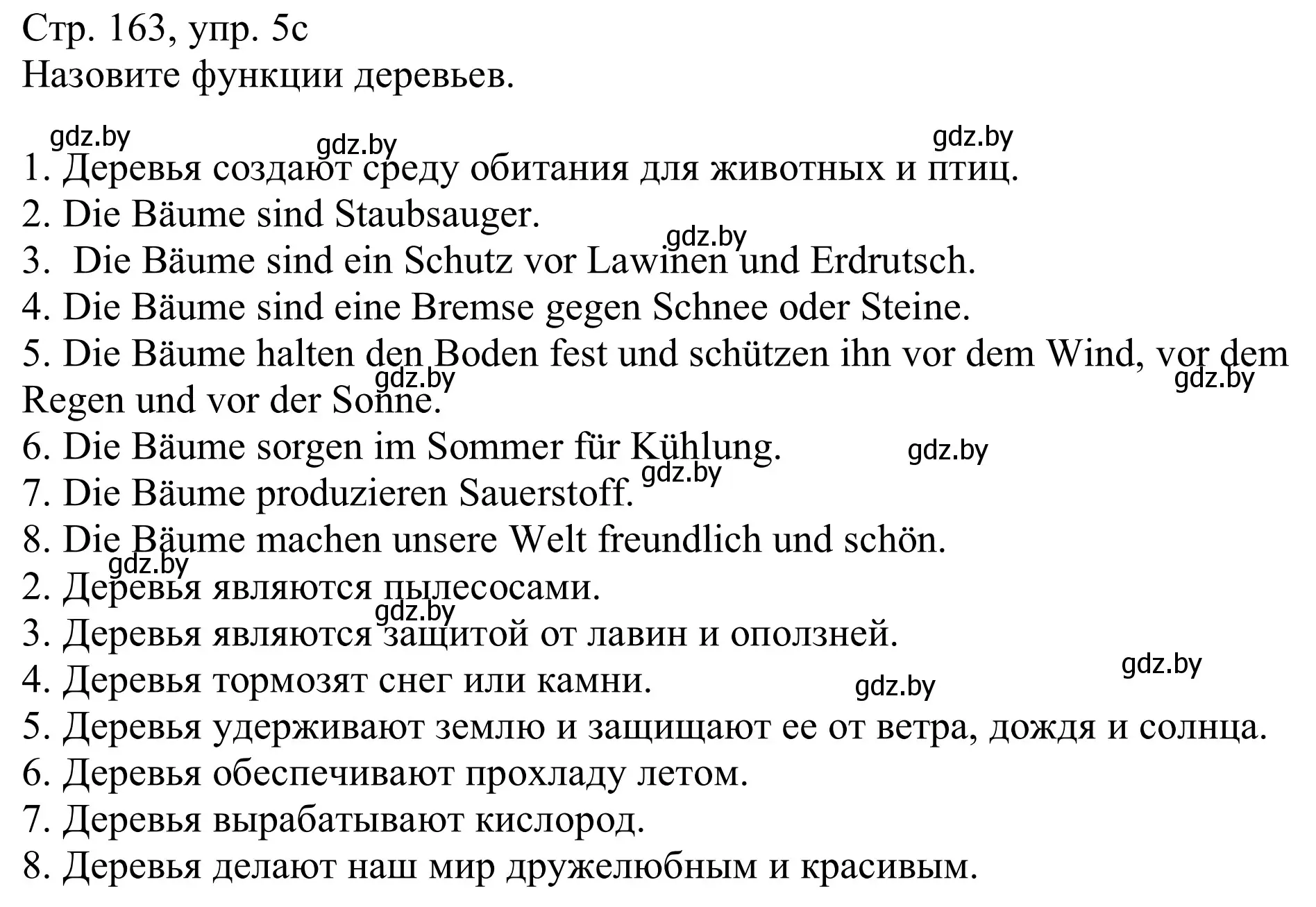 Решение номер 5c (страница 163) гдз по немецкому языку 11 класс Будько, Урбанович, учебник