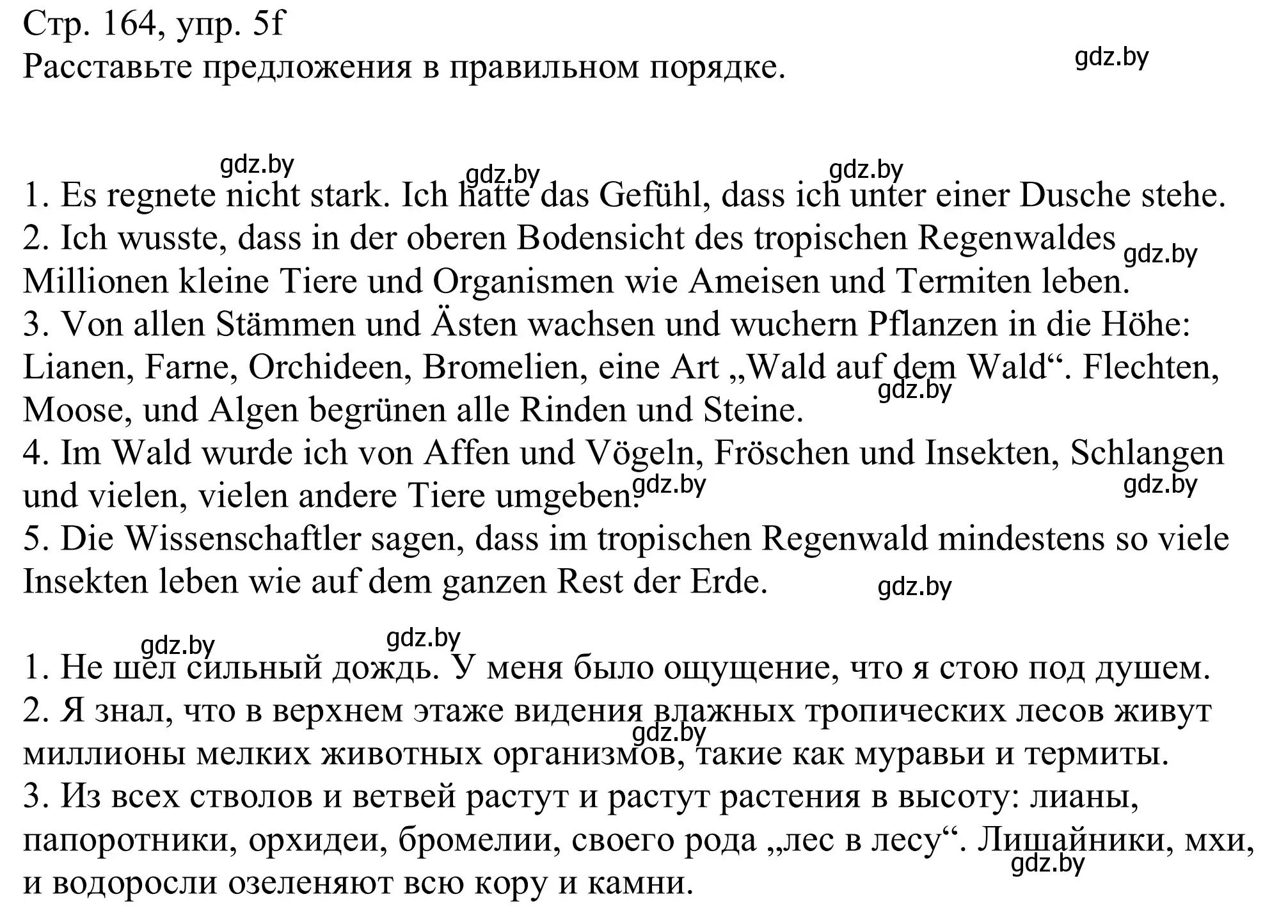 Решение номер 5f (страница 164) гдз по немецкому языку 11 класс Будько, Урбанович, учебник