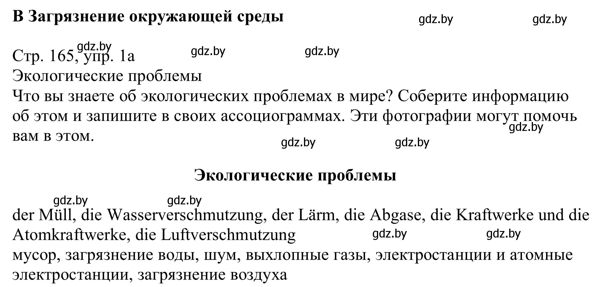 Решение номер 1a (страница 165) гдз по немецкому языку 11 класс Будько, Урбанович, учебник