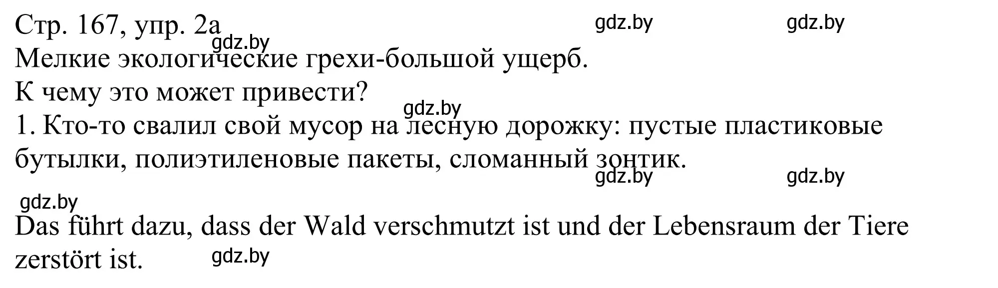 Решение номер 2a (страница 167) гдз по немецкому языку 11 класс Будько, Урбанович, учебник