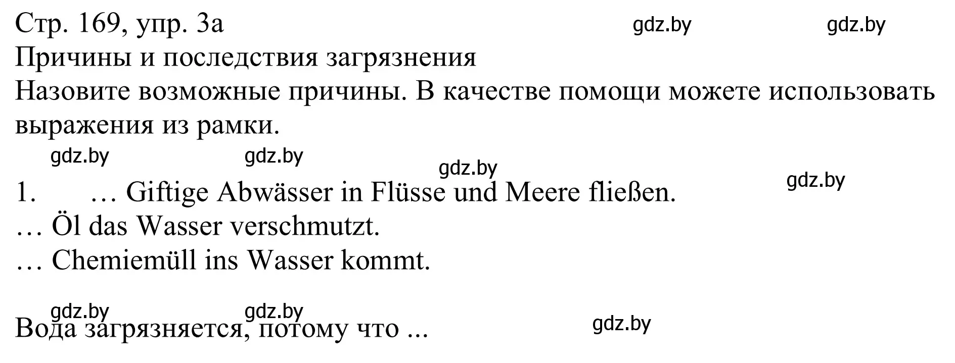 Решение номер 3a (страница 169) гдз по немецкому языку 11 класс Будько, Урбанович, учебник