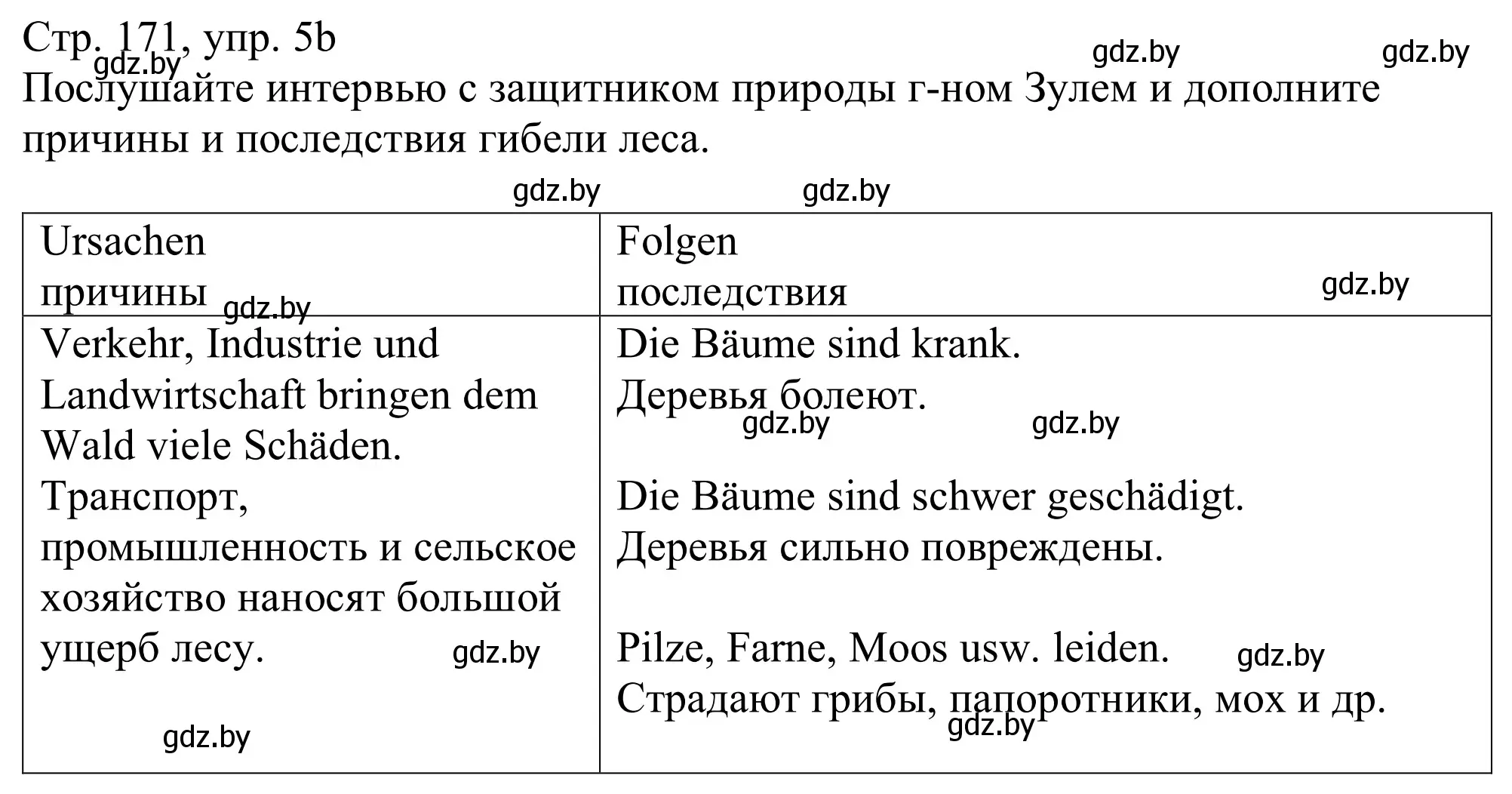 Решение номер 5b (страница 171) гдз по немецкому языку 11 класс Будько, Урбанович, учебник