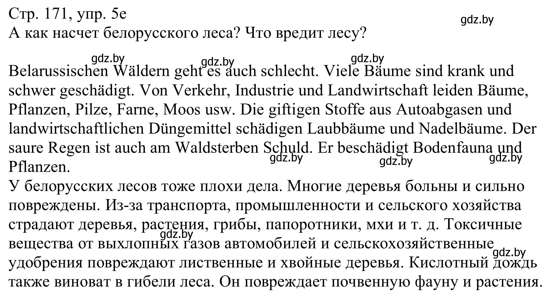 Решение номер 5e (страница 171) гдз по немецкому языку 11 класс Будько, Урбанович, учебник