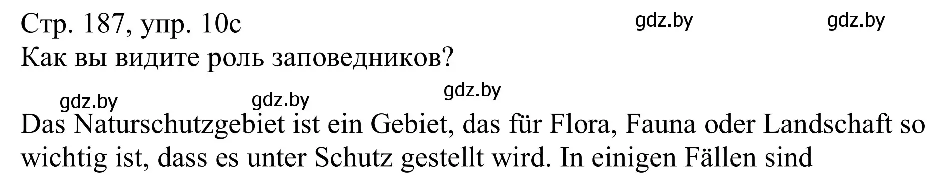 Решение номер 10c (страница 187) гдз по немецкому языку 11 класс Будько, Урбанович, учебник