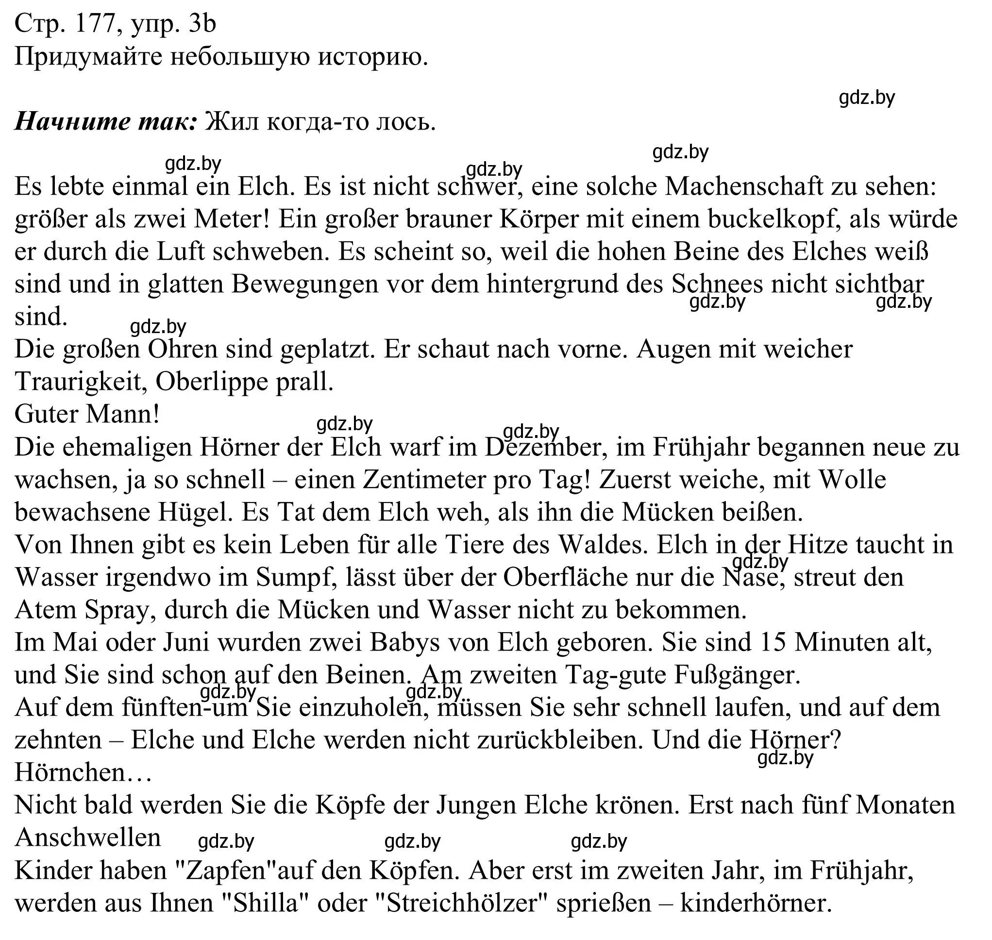 Решение номер 3b (страница 177) гдз по немецкому языку 11 класс Будько, Урбанович, учебник