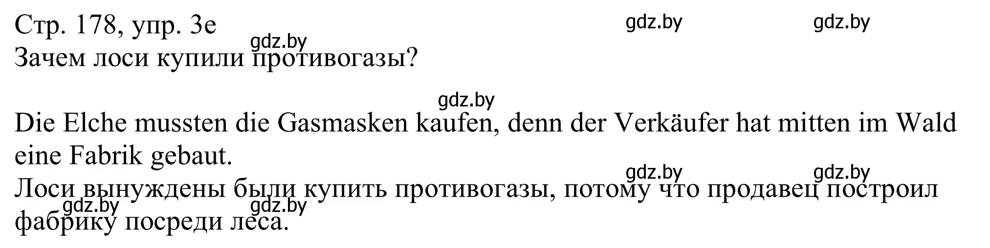 Решение номер 3e (страница 178) гдз по немецкому языку 11 класс Будько, Урбанович, учебник