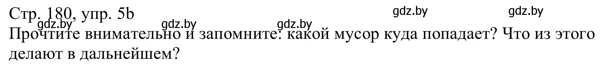 Решение номер 5b (страница 180) гдз по немецкому языку 11 класс Будько, Урбанович, учебник