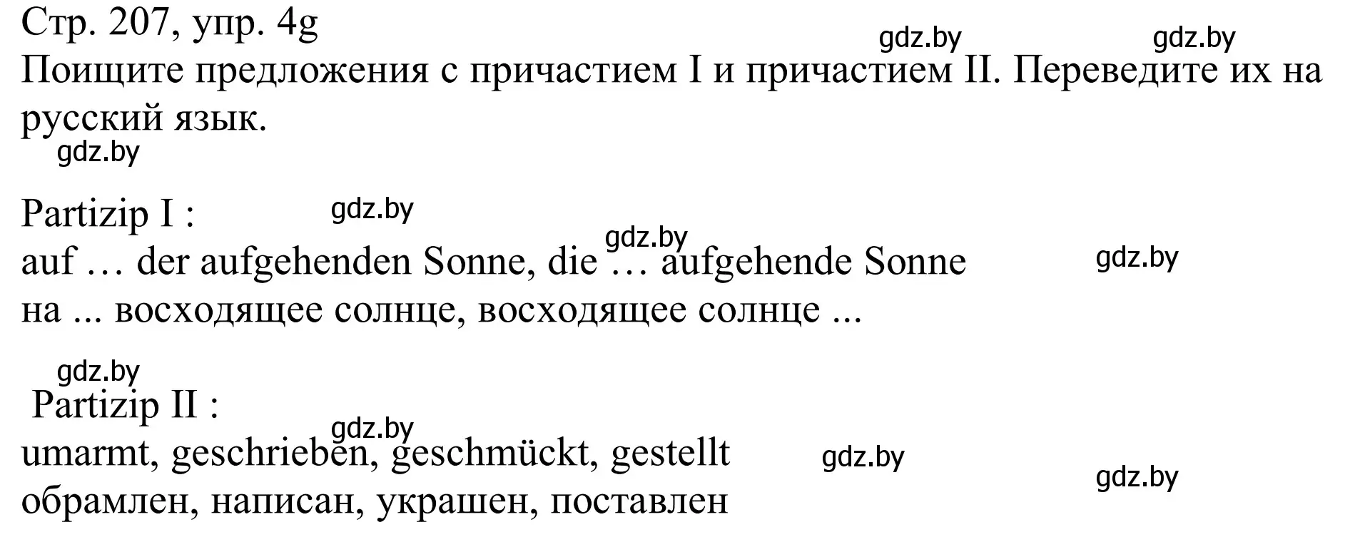 Решение номер 4g (страница 207) гдз по немецкому языку 11 класс Будько, Урбанович, учебник