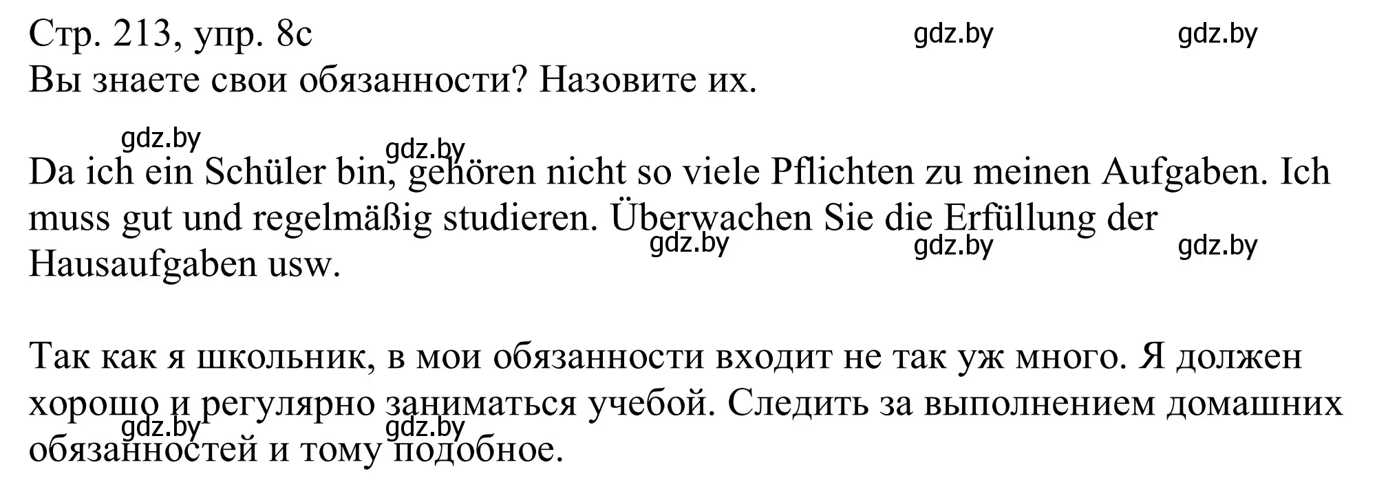 Решение номер 8c (страница 213) гдз по немецкому языку 11 класс Будько, Урбанович, учебник