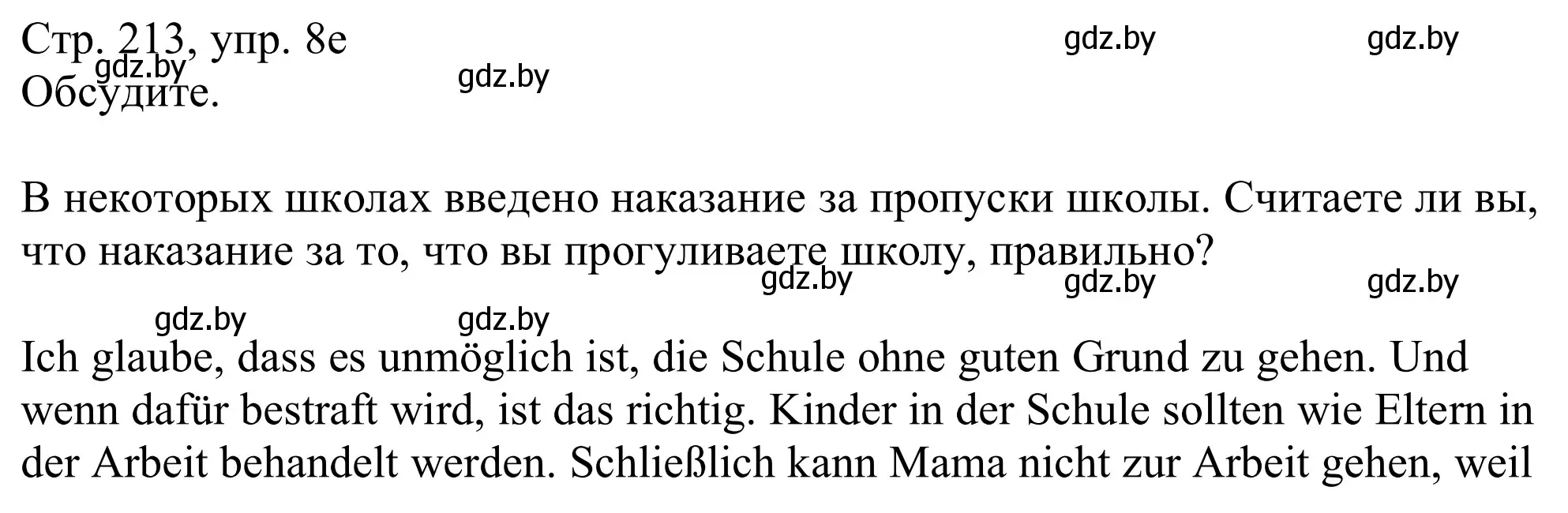 Решение номер 8e (страница 213) гдз по немецкому языку 11 класс Будько, Урбанович, учебник