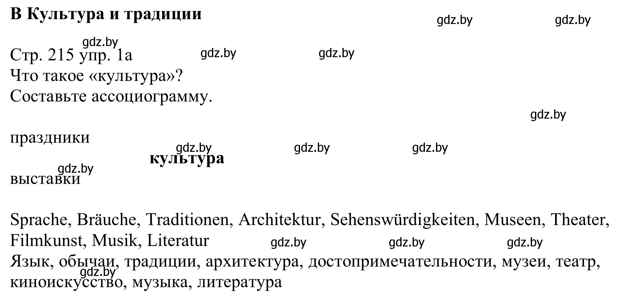 Решение номер 1a (страница 215) гдз по немецкому языку 11 класс Будько, Урбанович, учебник