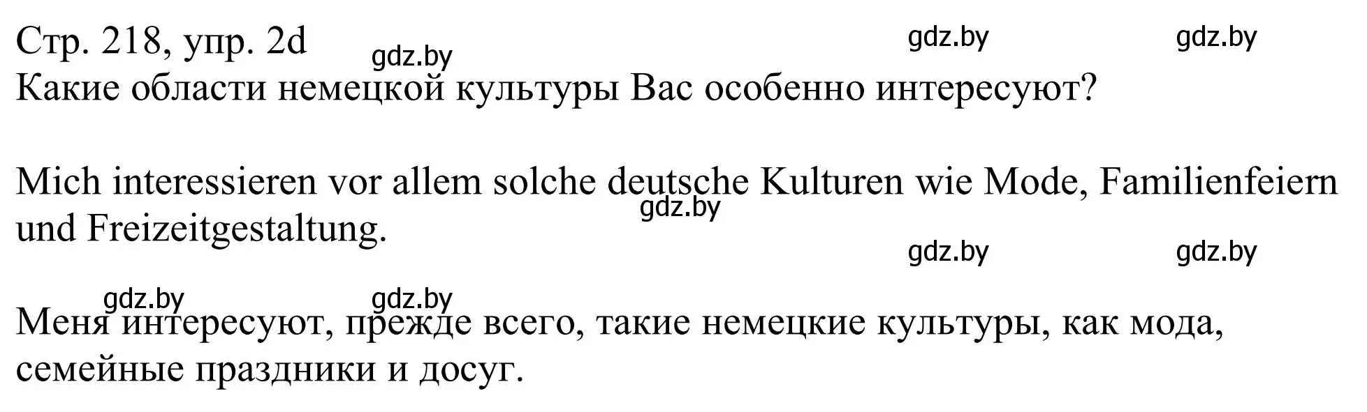 Решение номер 2d (страница 218) гдз по немецкому языку 11 класс Будько, Урбанович, учебник