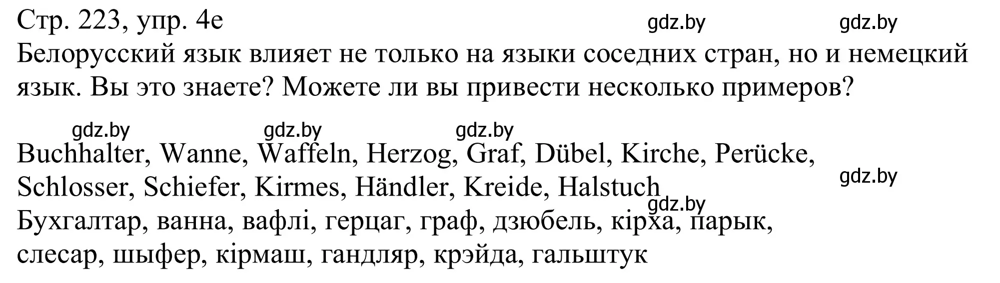 Решение номер 4e (страница 223) гдз по немецкому языку 11 класс Будько, Урбанович, учебник