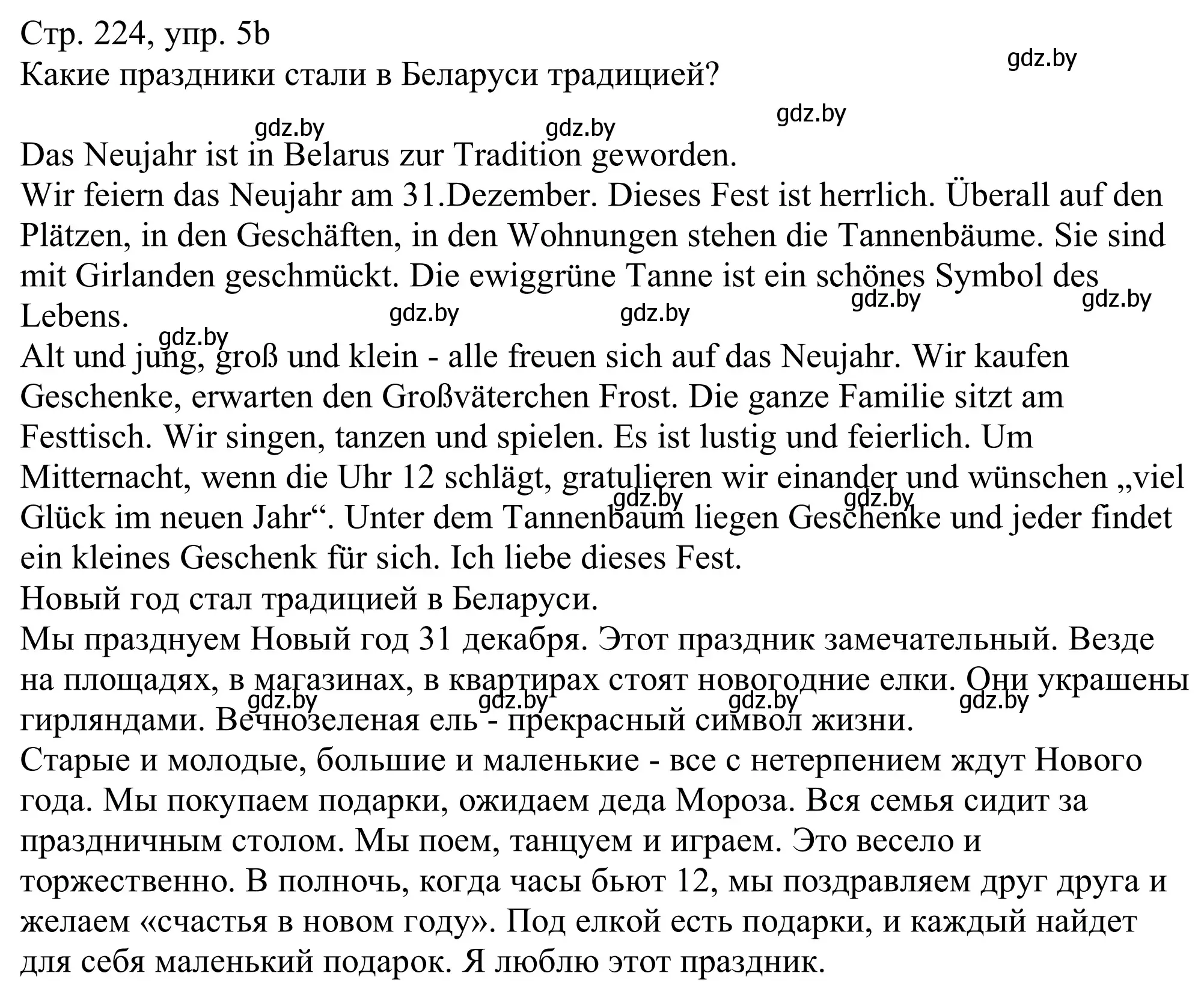 Решение номер 5b (страница 224) гдз по немецкому языку 11 класс Будько, Урбанович, учебник