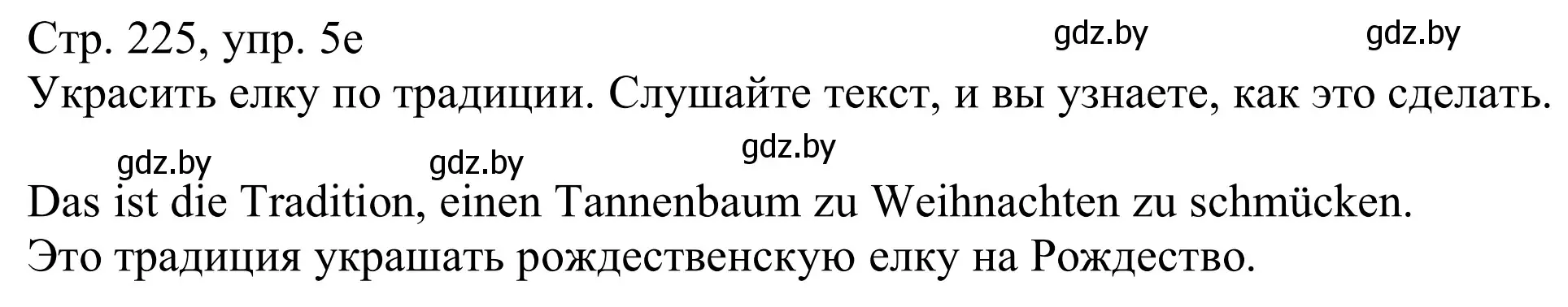 Решение номер 5e (страница 225) гдз по немецкому языку 11 класс Будько, Урбанович, учебник