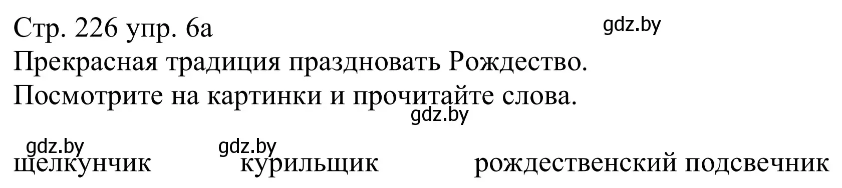 Решение номер 6a (страница 226) гдз по немецкому языку 11 класс Будько, Урбанович, учебник