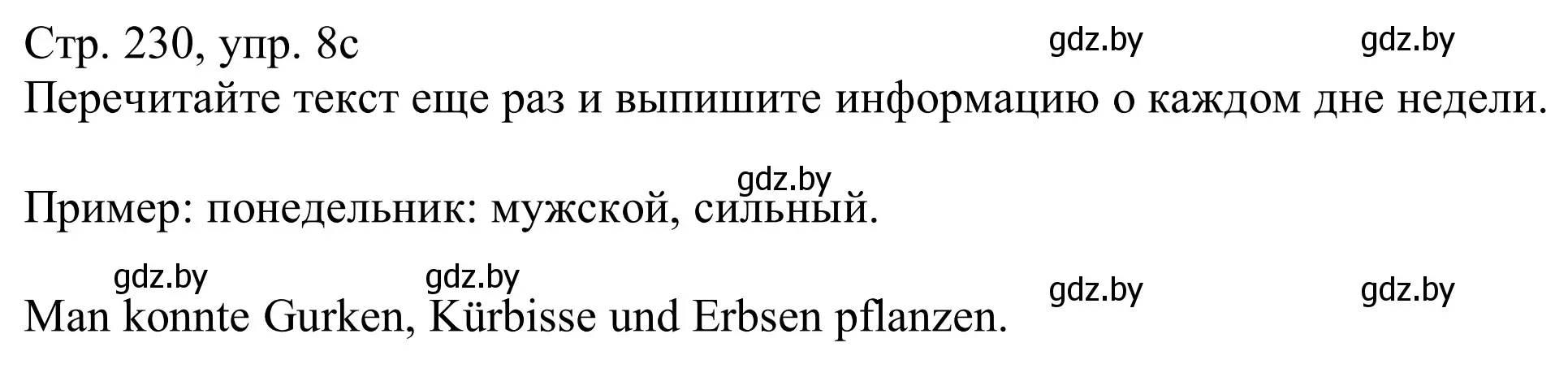 Решение номер 8c (страница 230) гдз по немецкому языку 11 класс Будько, Урбанович, учебник