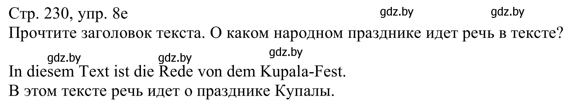 Решение номер 8e (страница 230) гдз по немецкому языку 11 класс Будько, Урбанович, учебник