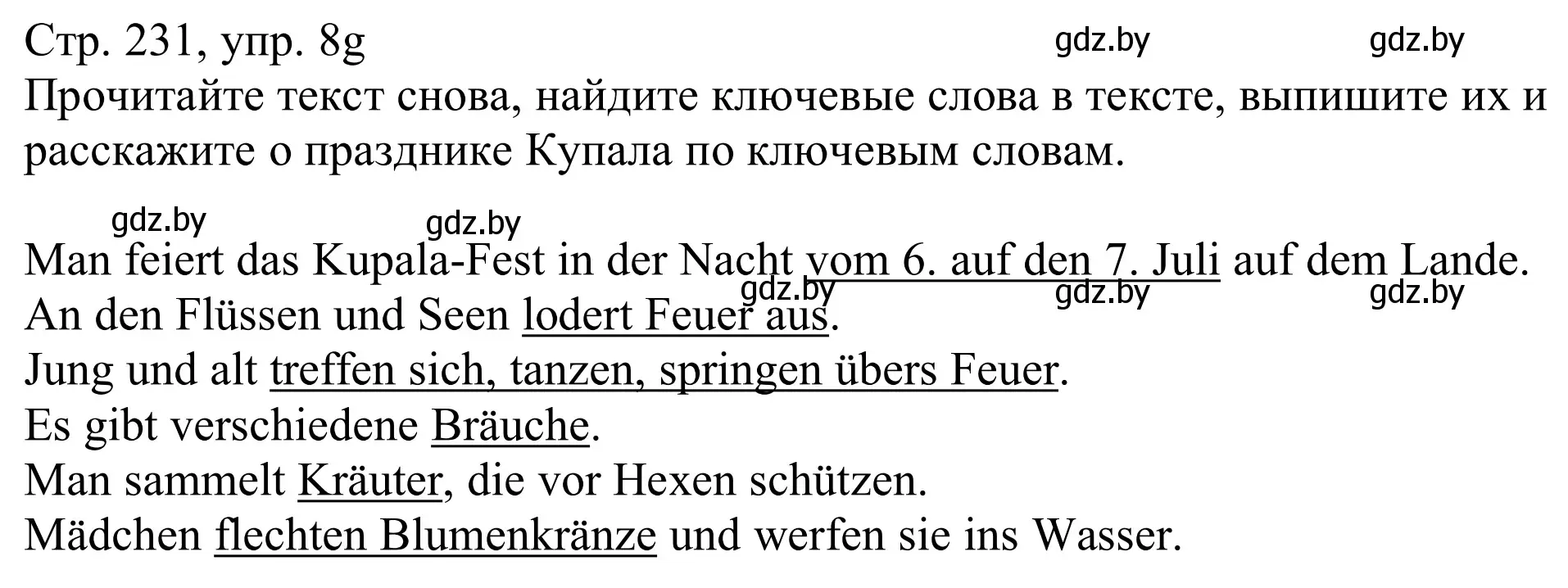 Решение номер 8g (страница 231) гдз по немецкому языку 11 класс Будько, Урбанович, учебник