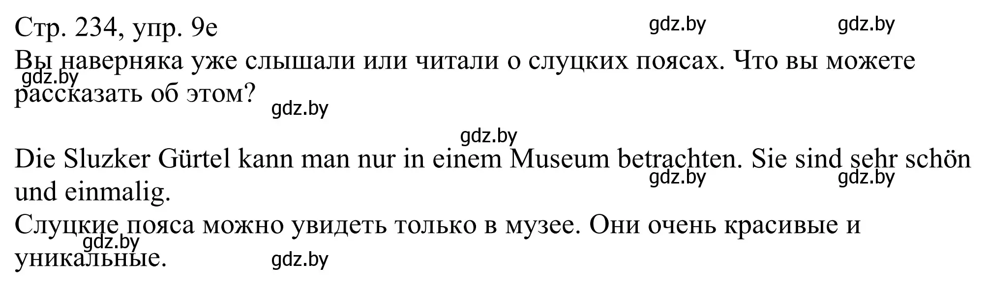 Решение номер 9e (страница 234) гдз по немецкому языку 11 класс Будько, Урбанович, учебник