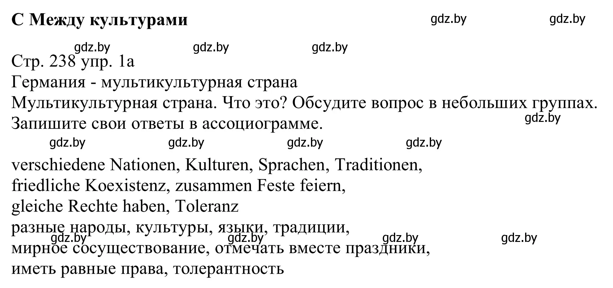 Решение номер 1a (страница 238) гдз по немецкому языку 11 класс Будько, Урбанович, учебник