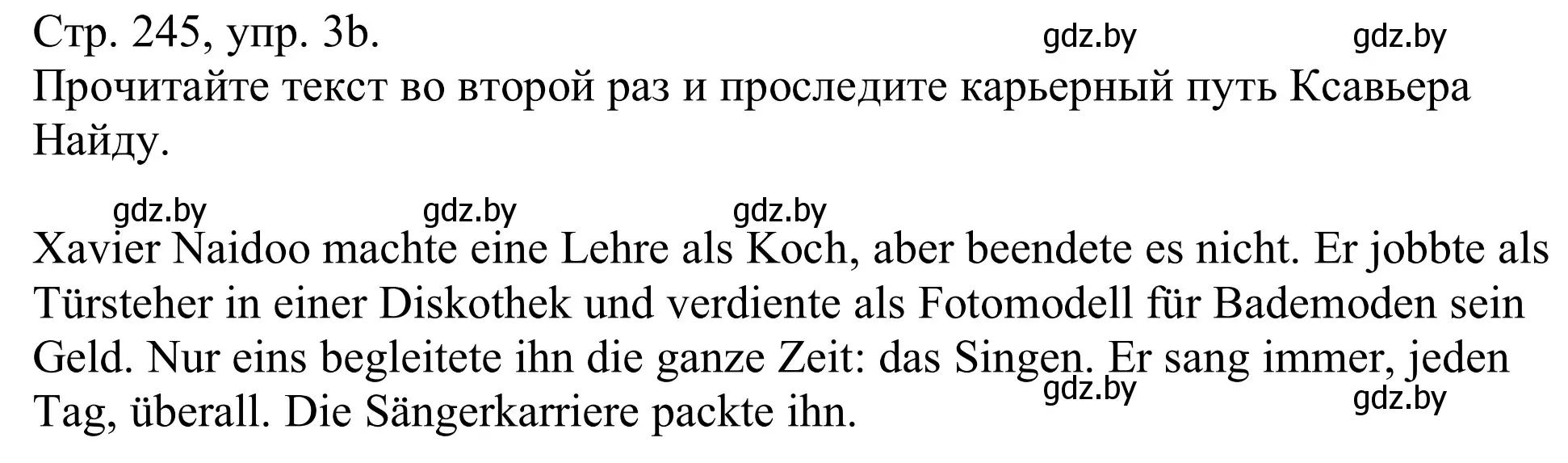 Решение номер 3b (страница 245) гдз по немецкому языку 11 класс Будько, Урбанович, учебник