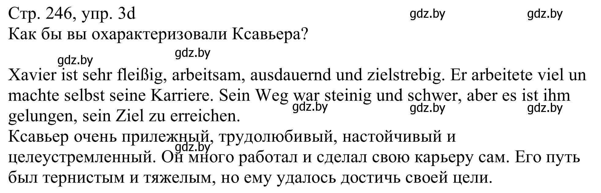 Решение номер 3d (страница 246) гдз по немецкому языку 11 класс Будько, Урбанович, учебник