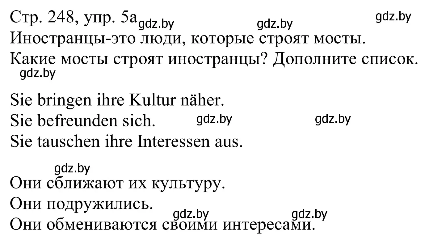 Решение номер 5a (страница 248) гдз по немецкому языку 11 класс Будько, Урбанович, учебник