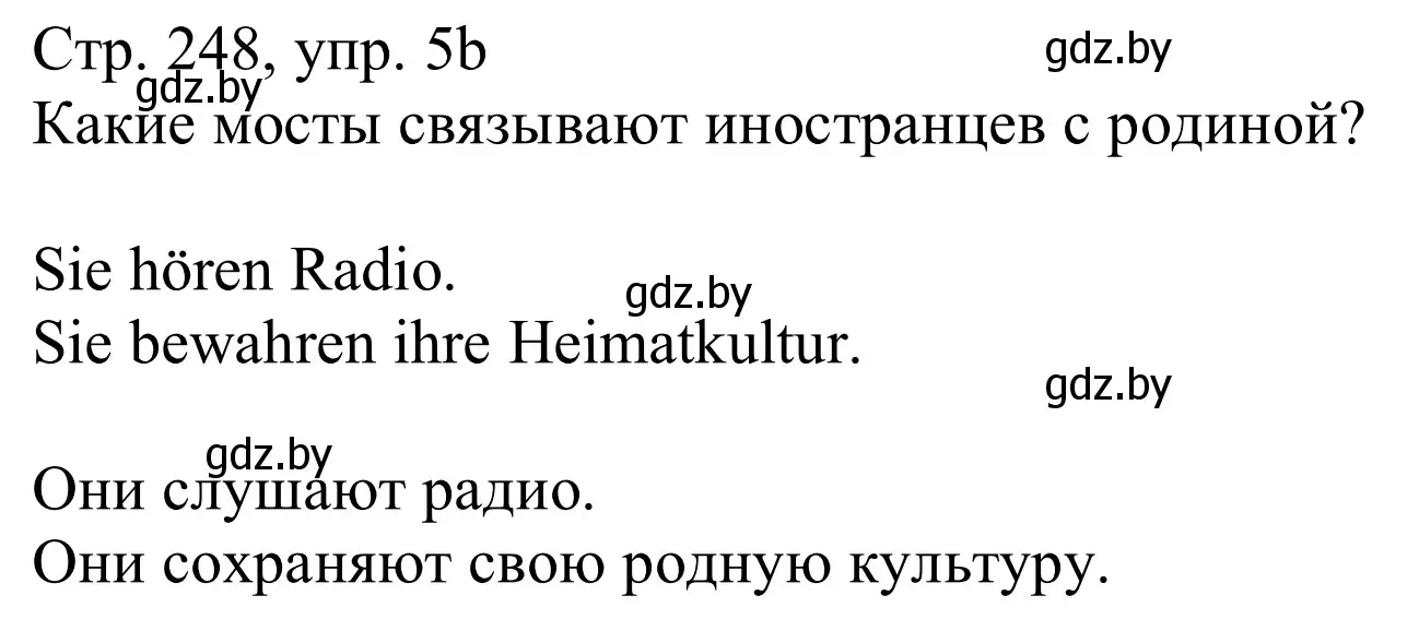 Решение номер 5b (страница 248) гдз по немецкому языку 11 класс Будько, Урбанович, учебник