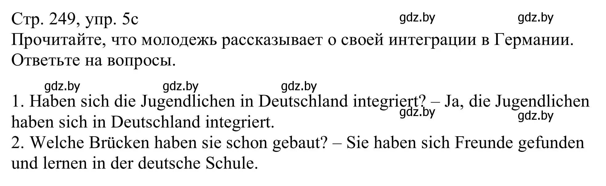 Решение номер 5c (страница 249) гдз по немецкому языку 11 класс Будько, Урбанович, учебник