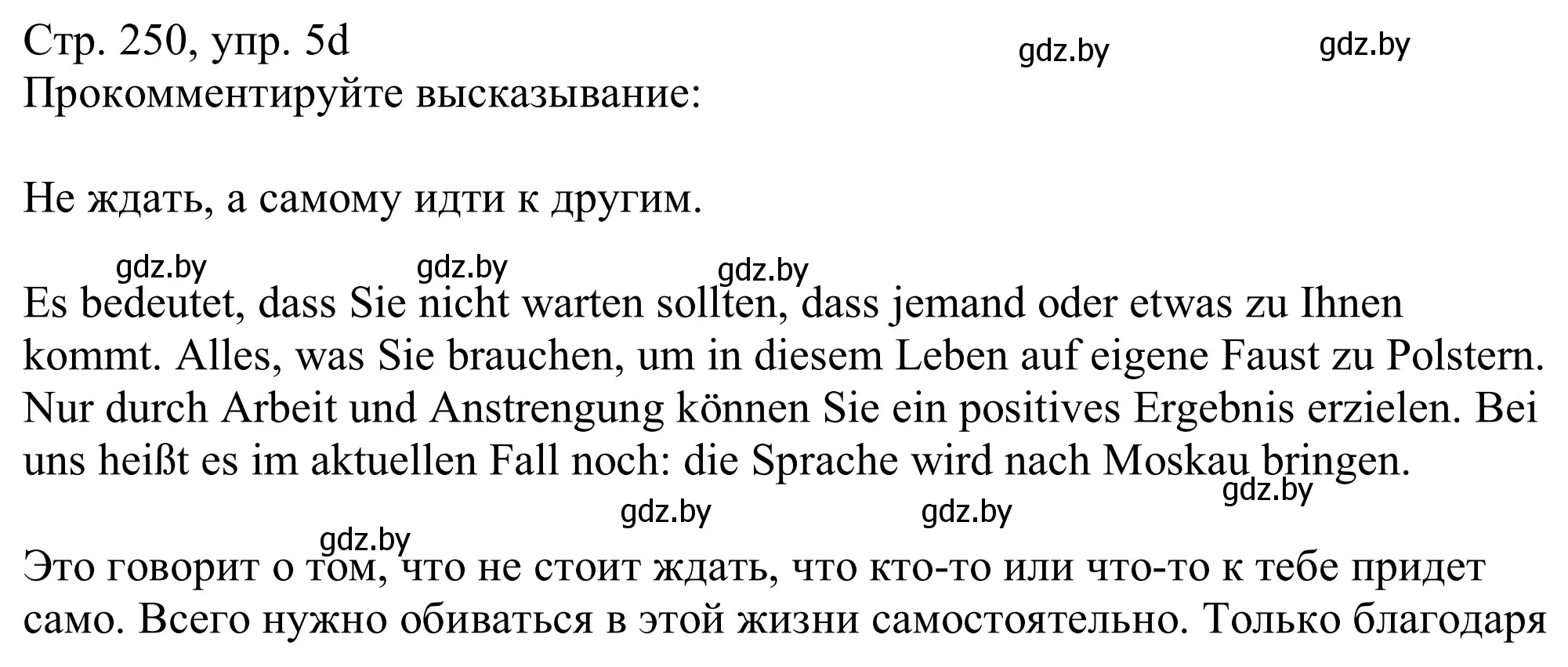 Решение номер 5d (страница 250) гдз по немецкому языку 11 класс Будько, Урбанович, учебник