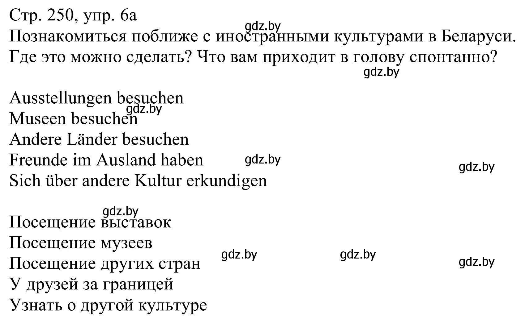 Решение номер 6a (страница 250) гдз по немецкому языку 11 класс Будько, Урбанович, учебник