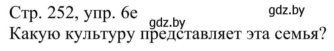 Решение номер 6e (страница 252) гдз по немецкому языку 11 класс Будько, Урбанович, учебник