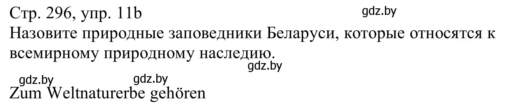 Решение номер 11b (страница 296) гдз по немецкому языку 11 класс Будько, Урбанович, учебник